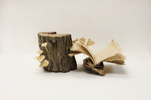 樹幹化身秘密藏書閣，森林系手作雕塑