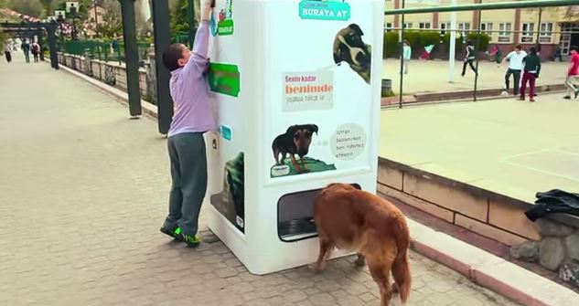 友善流浪動物其實是舉手之勞 寶特瓶回收販賣機