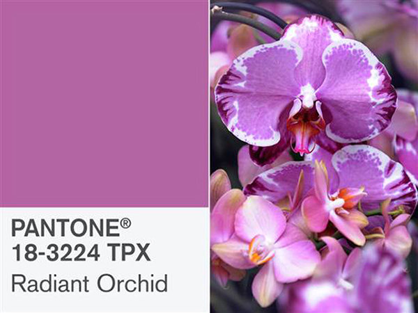 PANTONE® 官方公布 2014 年度代表色：「Radiant Orchid 蘭花紫」