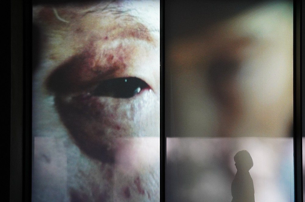 2022「小花計畫」高雄金馬賓館登場!11組音樂藝術創作詮釋小花盛開的回音