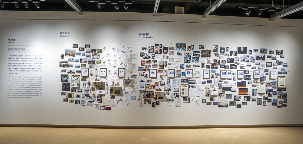 2022馬祖國際藝術島「島嶼釀」亮點!集結路上藍眼淚、風塔等39件藝術、建築、共創作品