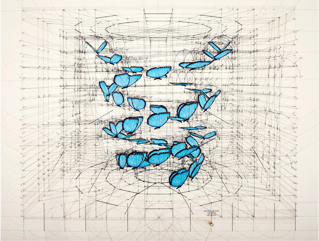 療癒黃金比例著色本！藝術家Rafael Araujo手繪蝴蝶飛舞、鸚鵡螺等自然數學之美