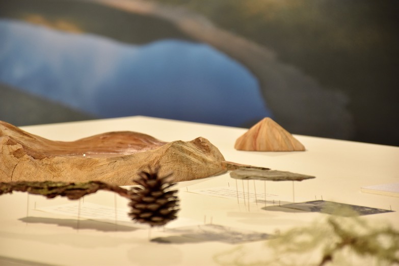 臺東設計中心帶領創作者上山  回歸設計創作最原始的靈感《Raw Trip－臺東採集計畫》  