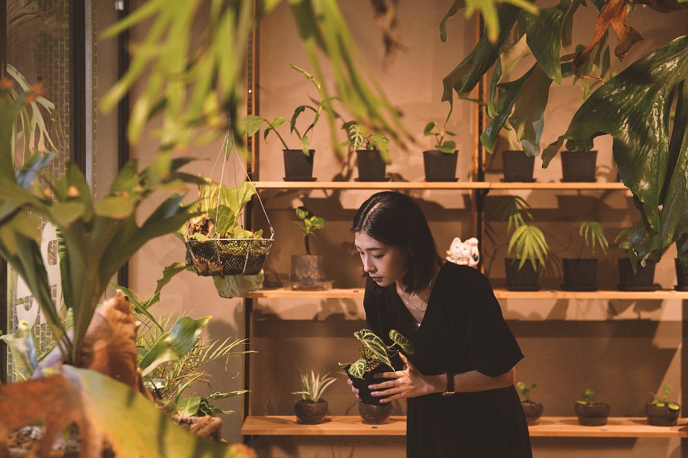 台北「Re森³」回歸！爵士喫茶店、山屋選品、森電荒島唱片等亮點