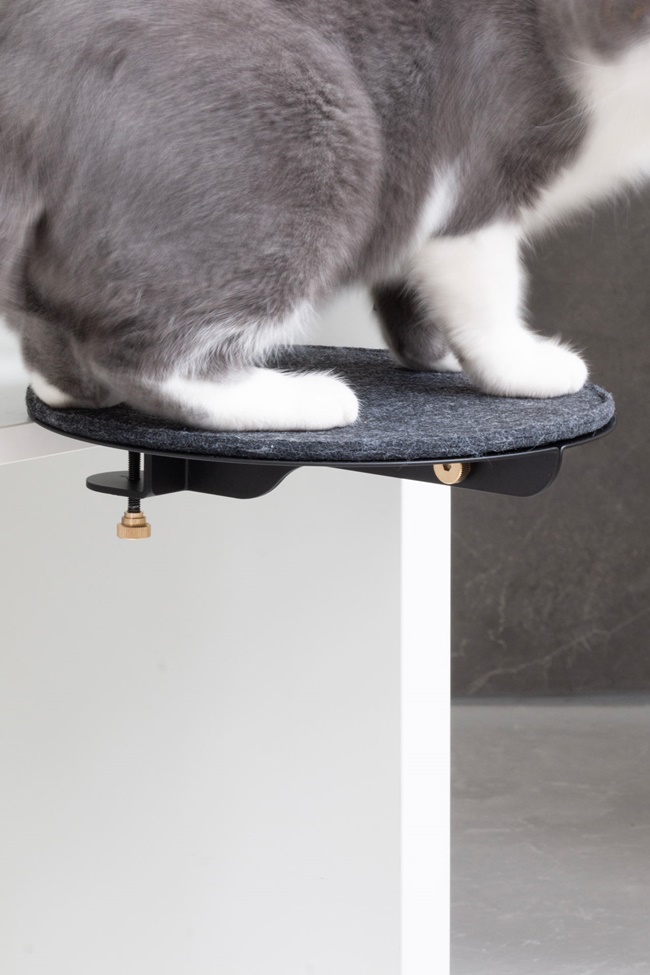 貓奴不再傷腦筋，「CATTSUP」專為都市貓咪打造的走跳遊樂園