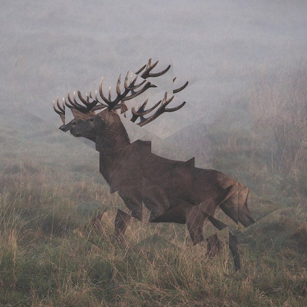 如夢似幻的鏡面風景攝影後製效果