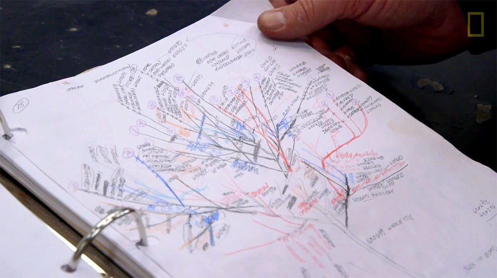 一顆樹上長了 40 種果子！Trees of 40 Fruit 科學怪樹