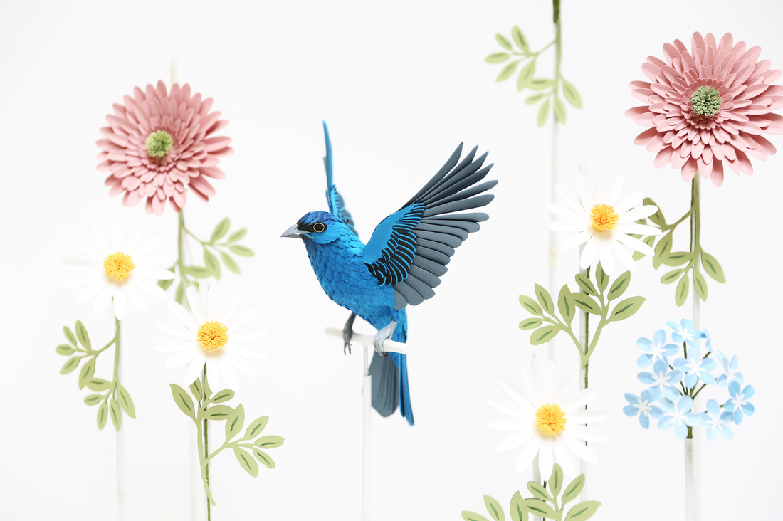 栩栩如生鳥類紙雕！哥倫比亞藝術家Diana Beltran Herrera巧手下的動物紙雕創作