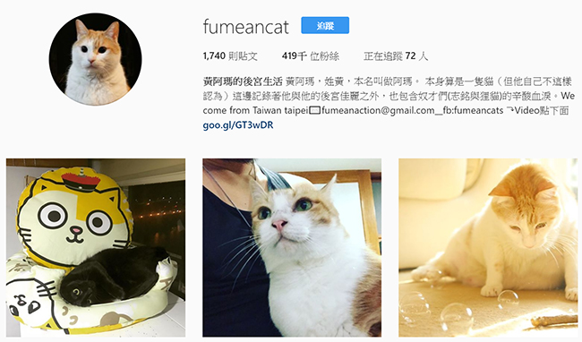 來喔，要買我的帳號嗎？Instagram 照片估價網站上線囉