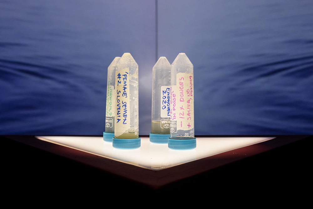 忠泰美術館五週年展《生生LIVES》亮點!12組藝術家探討「生」的多層意義