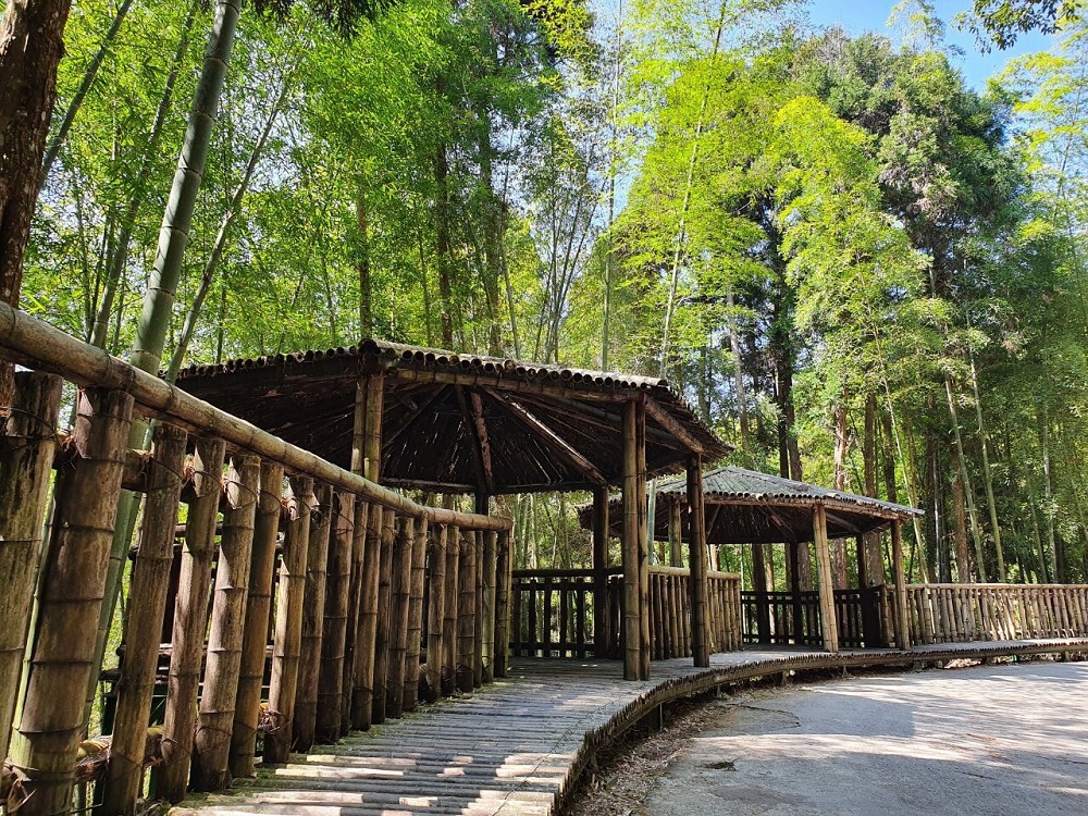 2024竹博覽會登場！漫遊新竹、嘉義、花蓮等五地展區探索竹文化奧秘