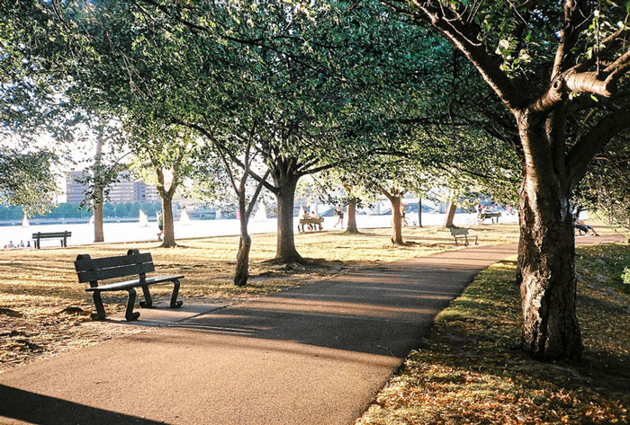 放下對器材的執著，攝影師用美金一元相機拍出新體悟