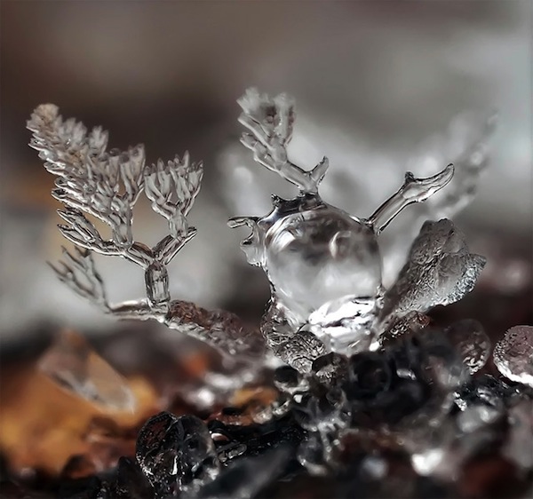 微距之美:精緻無比的微雪景