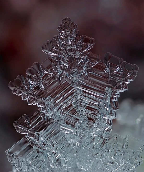 微距之美:精緻無比的微雪景