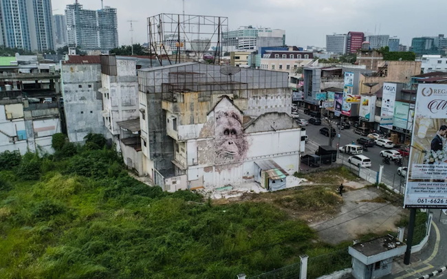 喚起人們對雨林和瀕危動物的關注，VHILS 「達班努里猩猩」雕刻壁畫