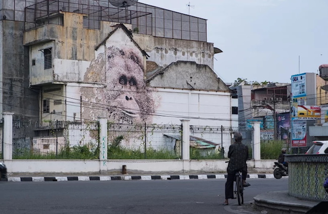 喚起人們對雨林和瀕危動物的關注，VHILS 「達班努里猩猩」雕刻壁畫