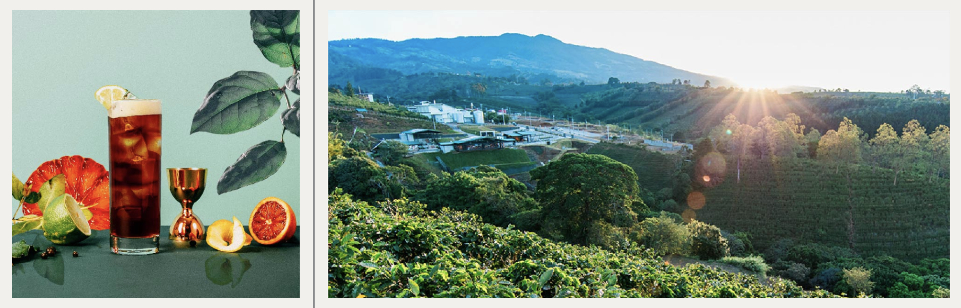 Starbucks星巴克品牌視覺識別設計大公開!Logo演變、字體設計、絕美配色等使用手冊