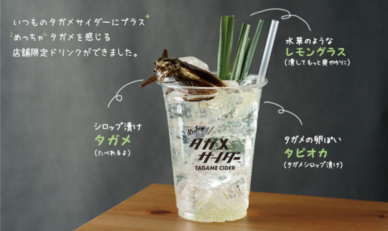 5款日本「蟋蟀零食」挑戰味覺！蟋蟀仙貝、巧克力餅感、蘇打飲等昆蟲美食