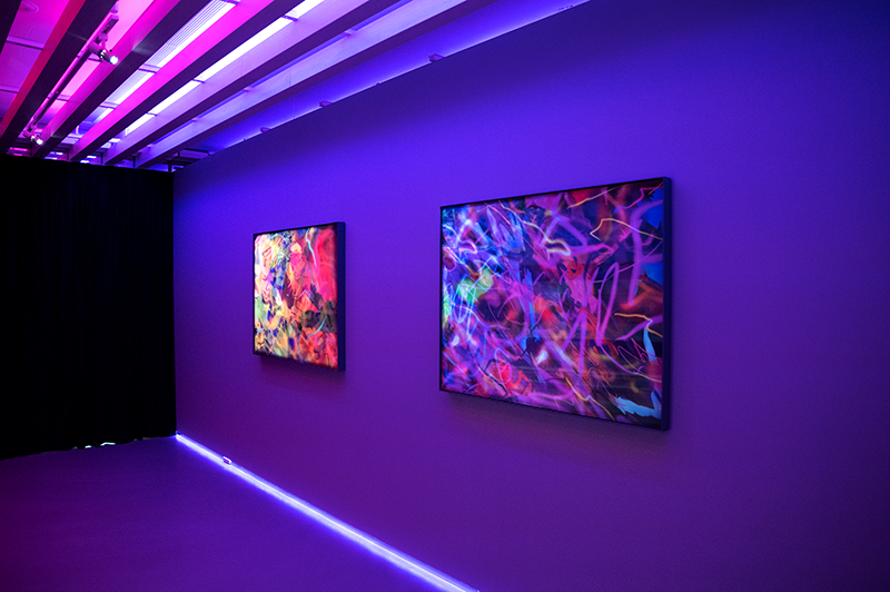 暗房、明廳對比展覽迷幻遊走虛實！北京藝術家王加加 TAO ART 個展打造不同感官效果