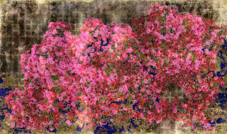 teamLab 全新展覽亮相金澤 21 世紀美術館！黑白水墨、巨型海浪沉浸體驗有如走進日式繪畫奇幻世界