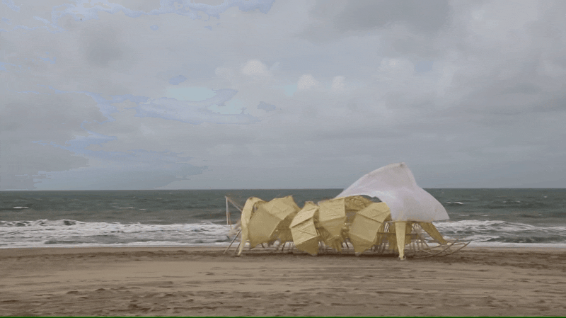仿生獸亮相屏東海口港!荷蘭藝術家Theo Jansen年年進化的海灘仿生獸計畫