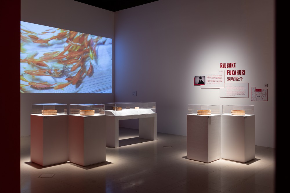 台南奇美博物館《跳出格子吧!》亮點!打字機畫作、超擬真3D金魚畫等藝術創作