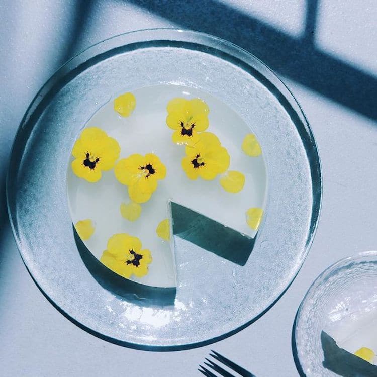 絕美透明系甜點！日本透明愛好家tomei夢幻至極的透明美食創作