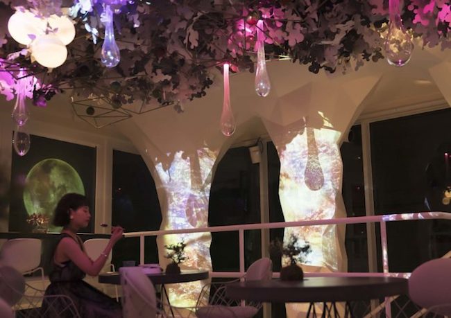 日式元素結合光雕投影，TREE by NAKED yoyogi park隱身代代木公園必去餐廳！