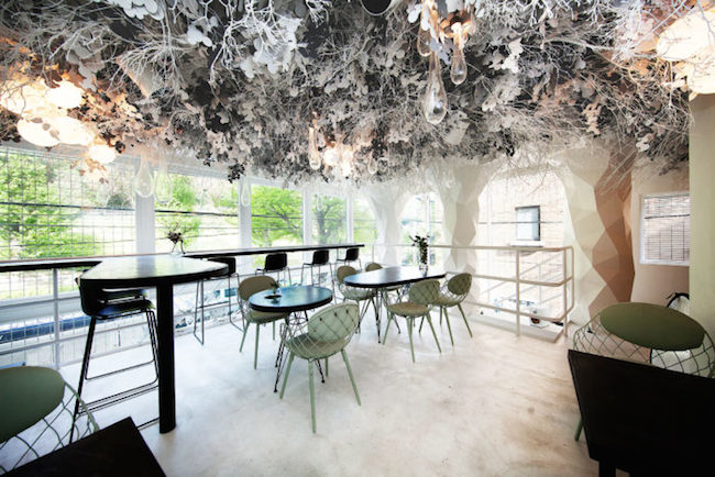 日式元素結合光雕投影，TREE by NAKED yoyogi park隱身代代木公園必去餐廳！