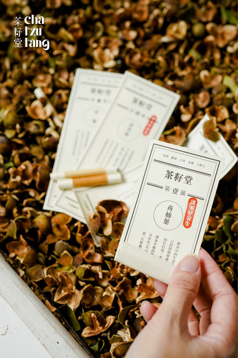 茶籽堂「大地癒所」特展亮相台北松菸！苦茶樹植栽、茶籽香氣打造自然系療癒展覽