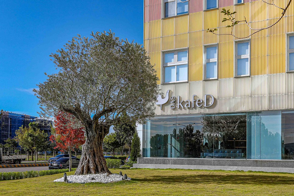 台中kafeD水湳旗艦店亮點！包浩斯風格空間結合專業咖啡體驗、甜點工藝