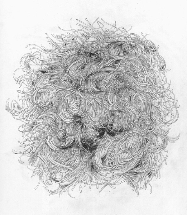 躍然紙上：鄒駿昇盡情揮灑的藝術夢