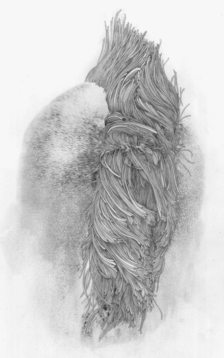 躍然紙上：鄒駿昇盡情揮灑的藝術夢