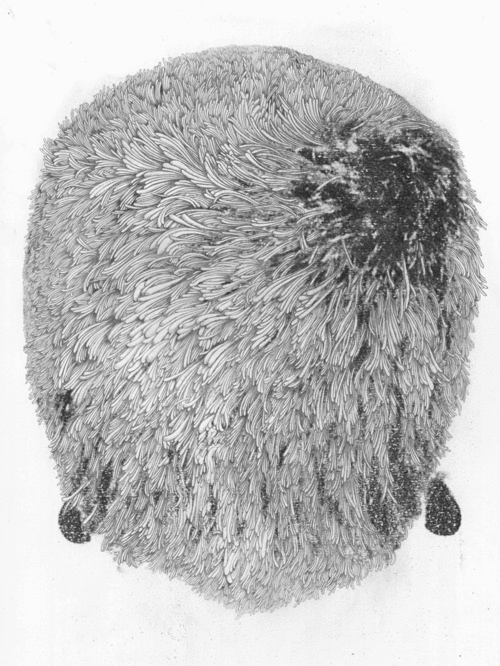 躍然紙上：鄒駿昇盡情揮灑的藝術夢