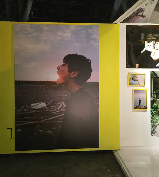 【觀展心得】川島小鳥《明星》寫真展，時光機的色彩 - 年輕軀殼裡的貼心老靈魂 