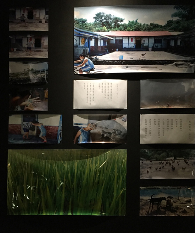 【觀展心得】川島小鳥《明星》寫真展，時光機的色彩 - 年輕軀殼裡的貼心老靈魂 