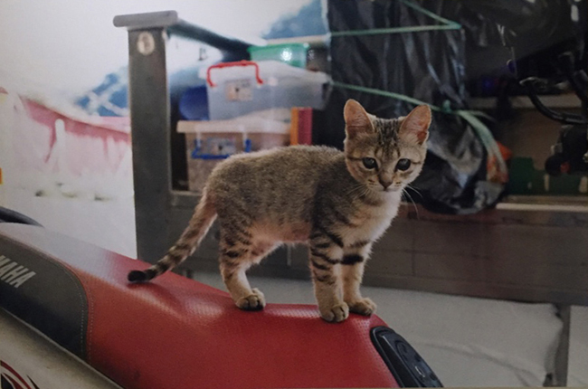 【觀展心得】川島小鳥《明星》寫真展,時光機的色彩 - 年輕軀殼裡的貼心老靈魂