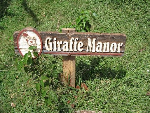 傳說中的伊甸園！與長頸鹿一同花園漫散步♥