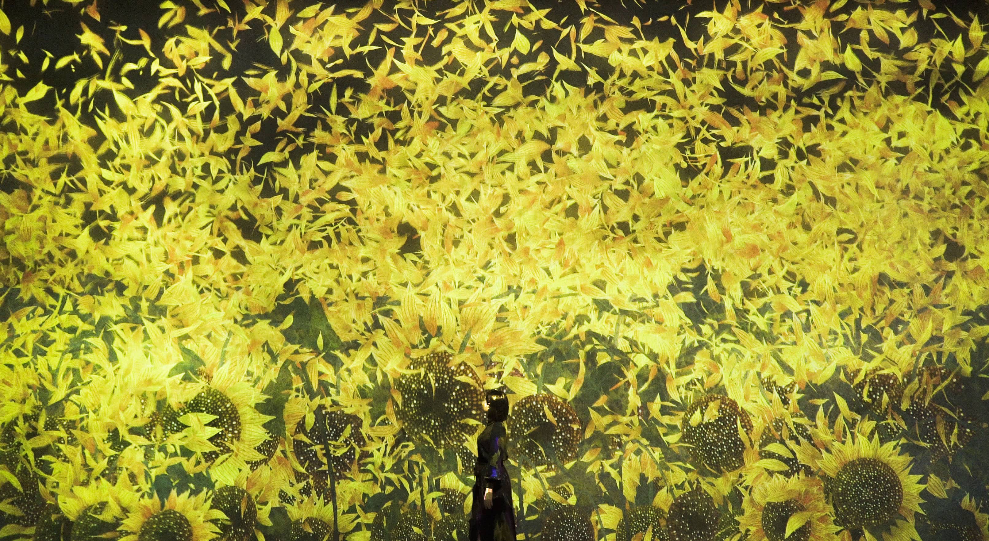 teamLab燦爛花朵家中綻放！東京台場teamLab美術館2大新作線上亮相