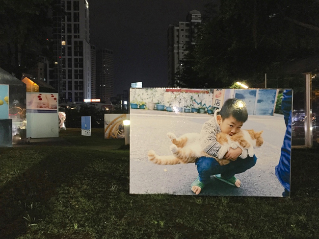 【觀展心得】川島小鳥《明星》寫真展，時光機的色彩 - 年輕軀殼裡的貼心老靈魂 