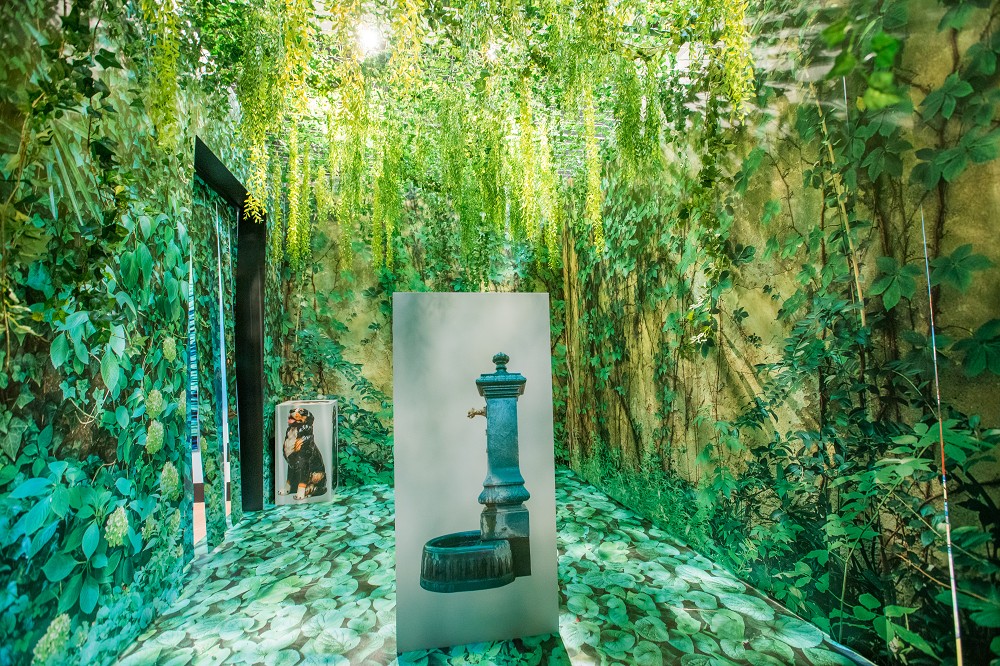 「義大利怪美殿堂特展 TOILETPAPER」台北登場！重現邪典藝術雜誌米蘭總部、荒謬美學