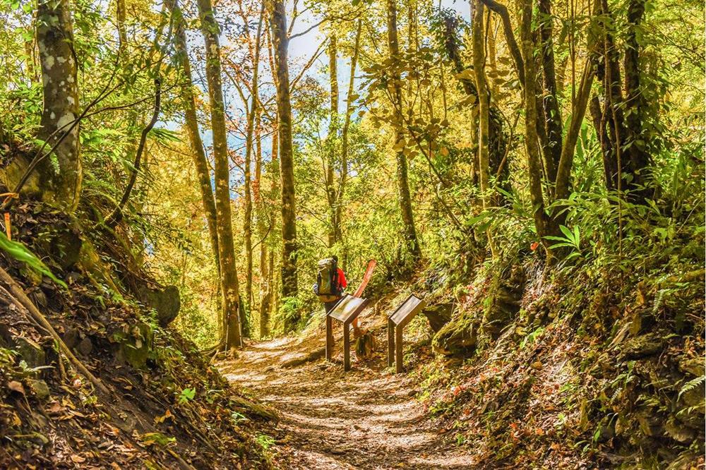 純淨高山湖「天使的眼淚」、楓紅絕景... 體驗台灣深度之美，秋季山林路線推薦 TOP 5！