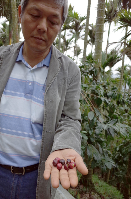 以前請你吃棍子，現在請你喝咖啡---淺嚐教官咖啡