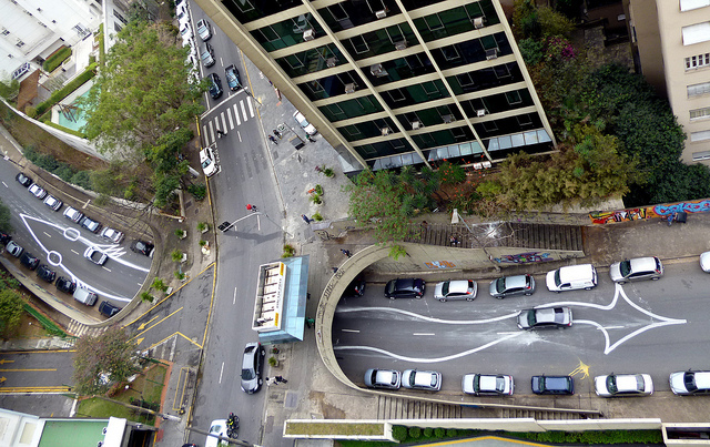 巴西聖保羅街頭塗鴉，巨型動物貼近人心！