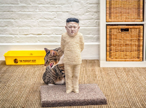 我抓！貓咪與獨裁者間的對決～