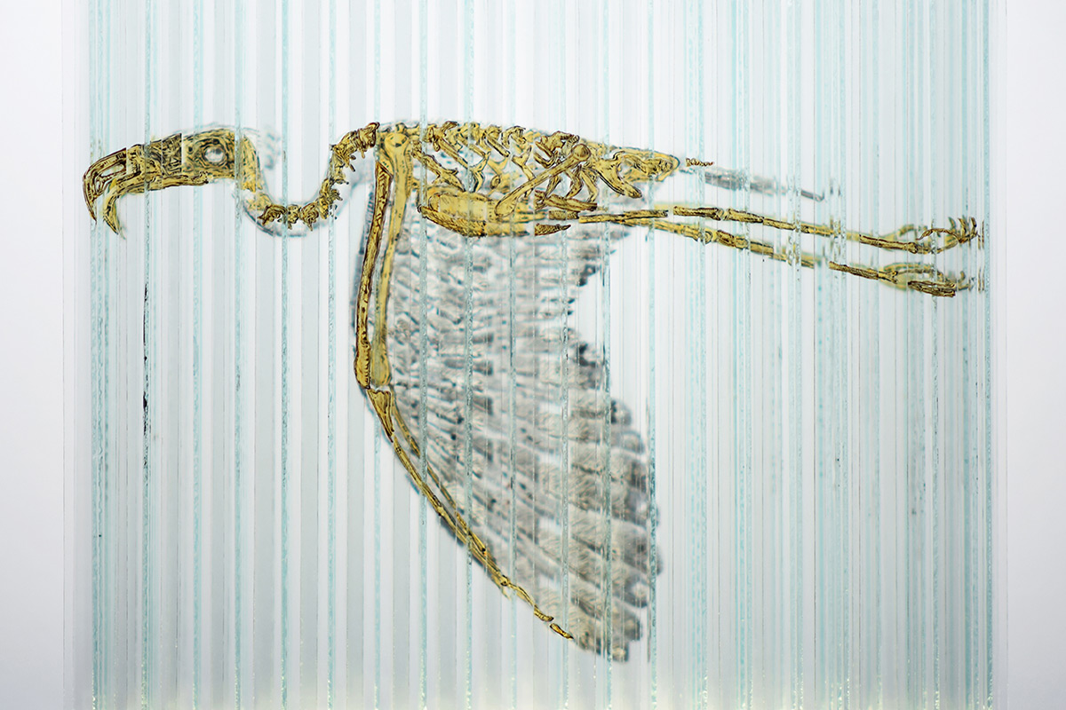 隱藏在 160 片玻璃後的四張圖像，錯視覺藝術 Emulsifier