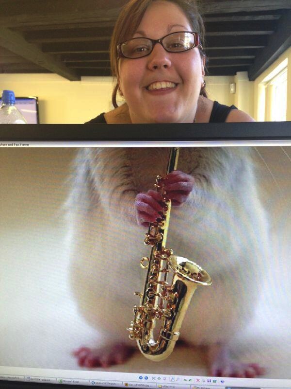 整個辦公室都是我的動物園～一起來玩「Desk Safari」吧！