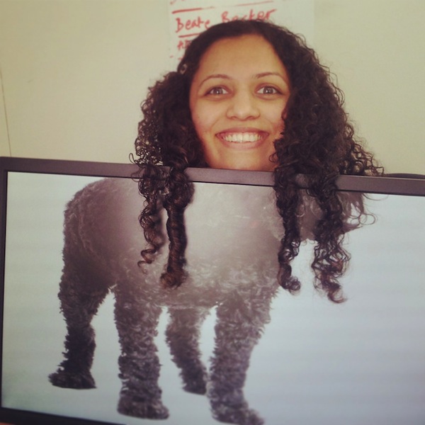 整個辦公室都是我的動物園～一起來玩「Desk Safari」吧！