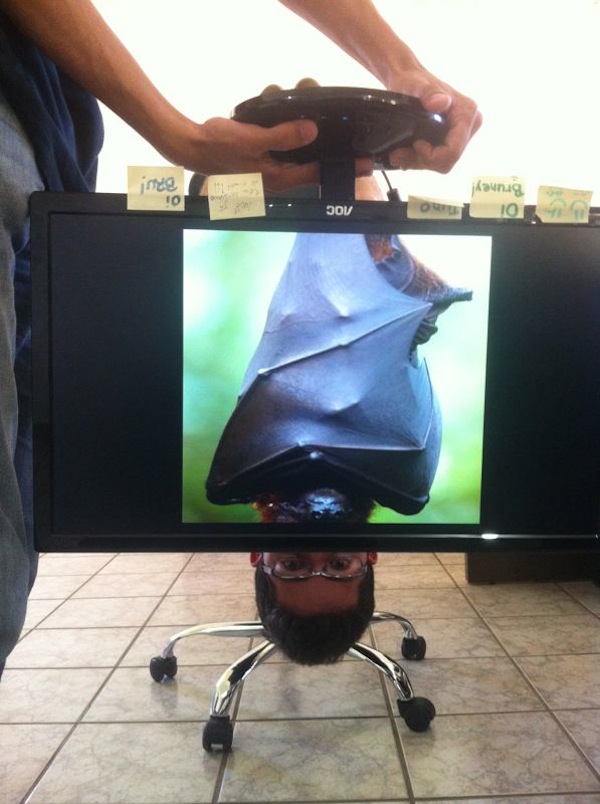 整個辦公室都是我的動物園～一起來玩「Desk Safari」吧！