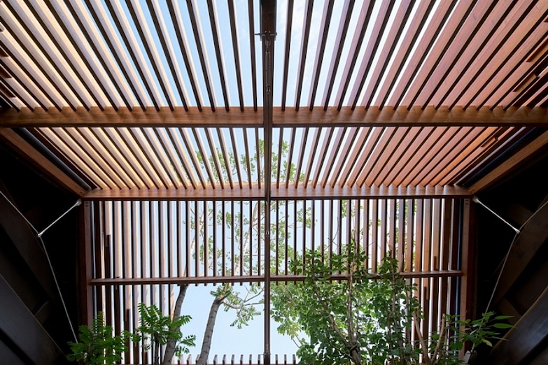 與大樹共生老宅改造！北京鑾慶胡同 37 號葫蘆院打造雙圓庭院引綠意、天光